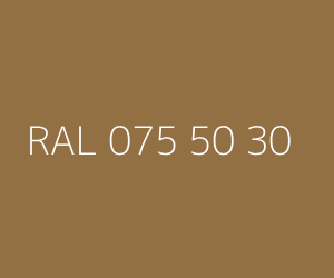 Väri RAL 075 50 30 