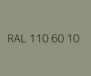 Väri RAL 110 60 10 