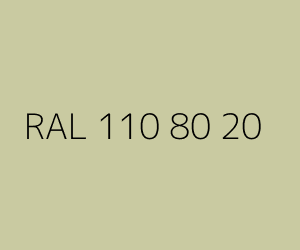 Väri RAL 110 80 20 