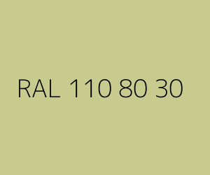 Väri RAL 110 80 30 