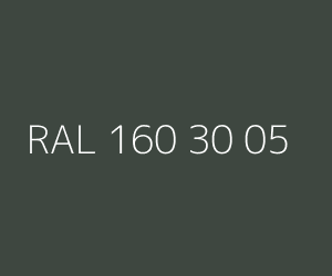 Väri RAL 160 30 05 