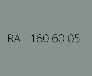 Väri RAL 160 60 05 