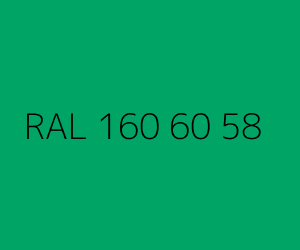 Väri RAL 160 60 58 
