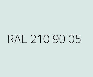 Väri RAL 210 90 05 